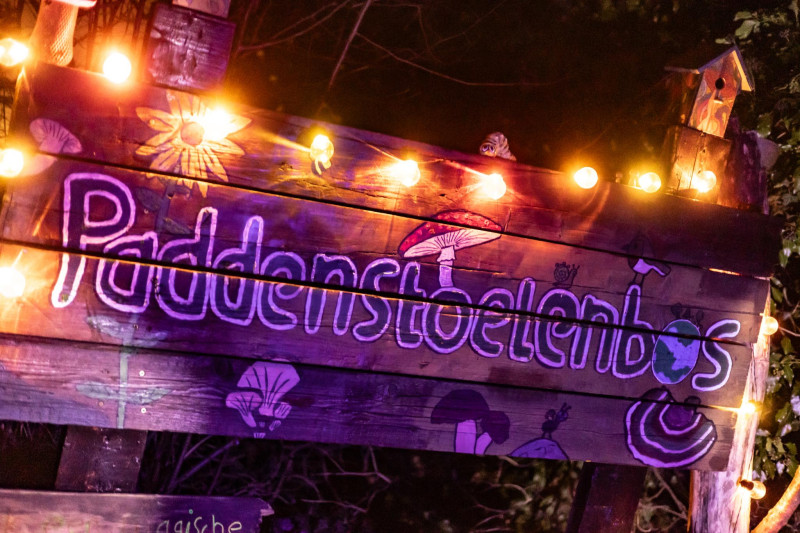 🍄 Evenement voor zwambassadeurs 🍄 Glow in the dark