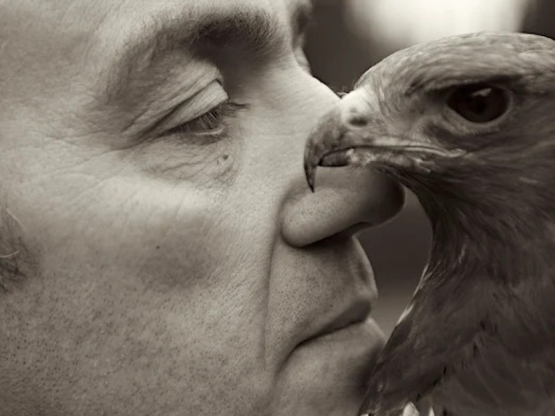 5 Daagse reis met roofvogels | Spanje