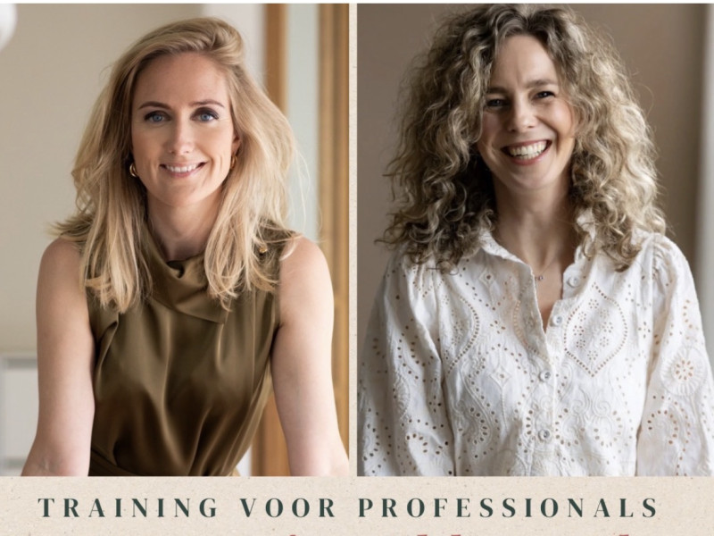 Training voor professionals: Bouwen aan jouw plek op werk