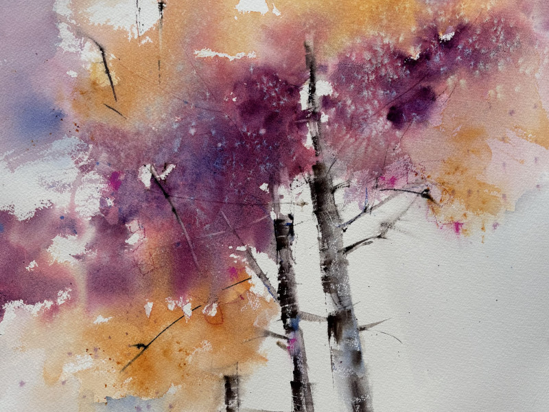 Aquarel voor beginners - De Bilt