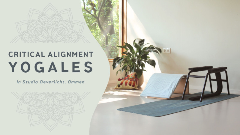 Critical Alignment Yoga les