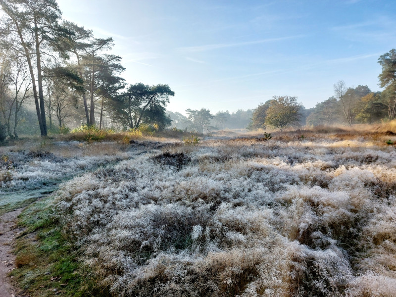 Winter Bosbad - Kom tot rust in de natuur