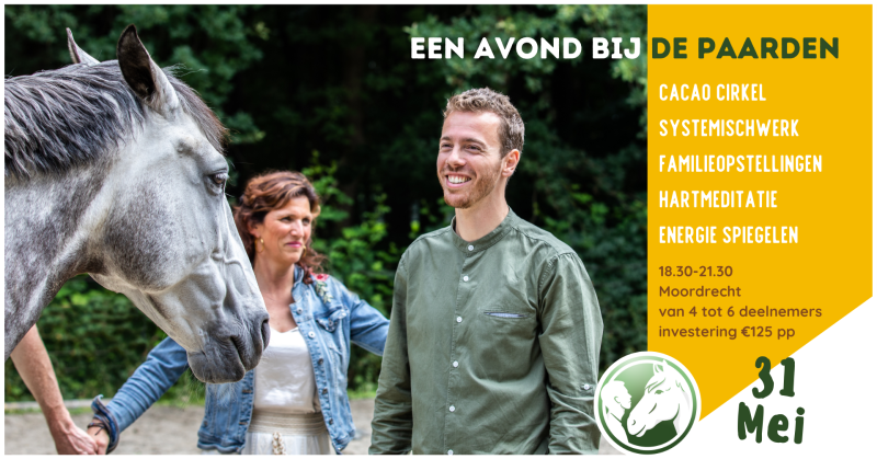Een Avond bij de Paarden - Paarden, Systemisch werk, Overige Workshops