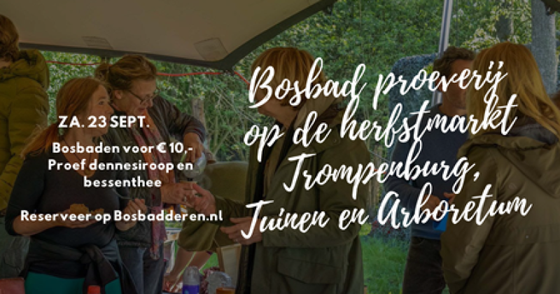 Ontdek lekkernijen uit het bos en maak kennis met bosbaden - Hipsy