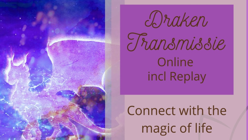 Online Draken Transmissie