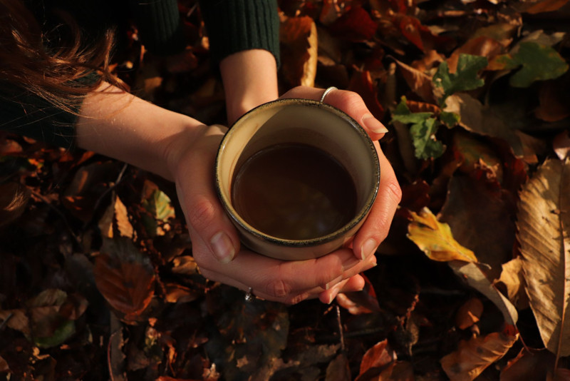 Cacao Ceremonie, Yin Yoga, Somatic Release & Reiki | Zaadjes Planten - Vrouwen workshops, Yoga, Cacao ceremonie