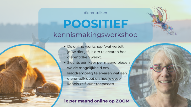 kennismakings workshop wat vertelt jouw dier je?