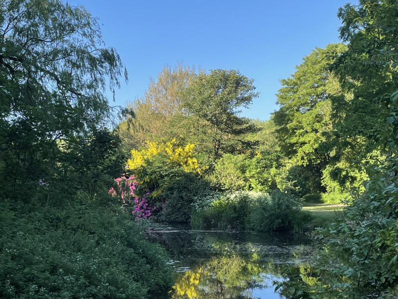 Bosbaden in het Stadspark