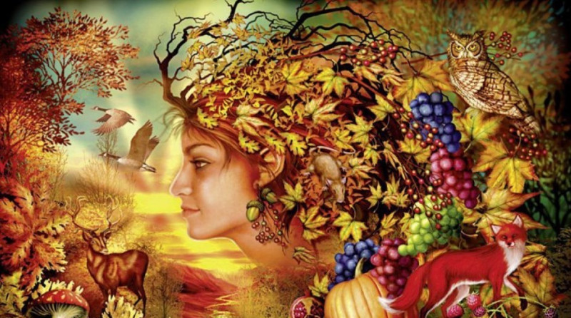 Systemische Kost - Opstellingenavond – Herfst