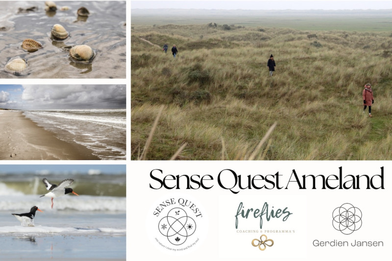 Sense Quest Ameland