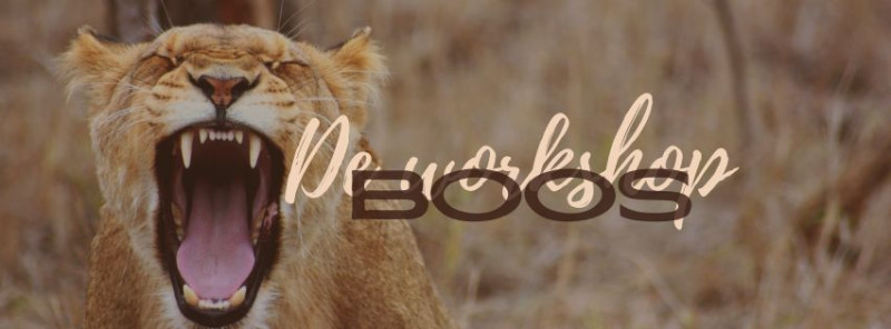 Workshop BOOS 