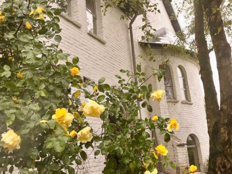 Neem je borsten in eigen handen! - Women's Workshops, Health, Women's Circles