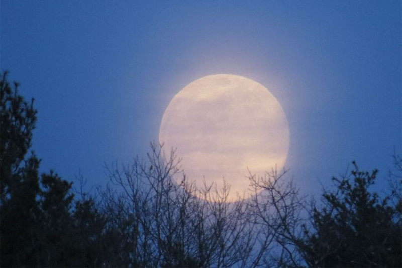 Volle Maan Wandeling + Astrologische uitleg