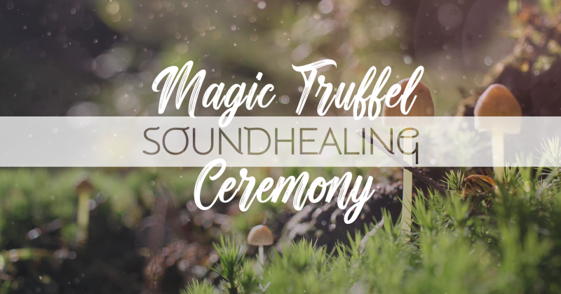 Magic Truffel Soundhealing Ceremony - Plantmedicijn, Truffel Ceremonie, Klankreis