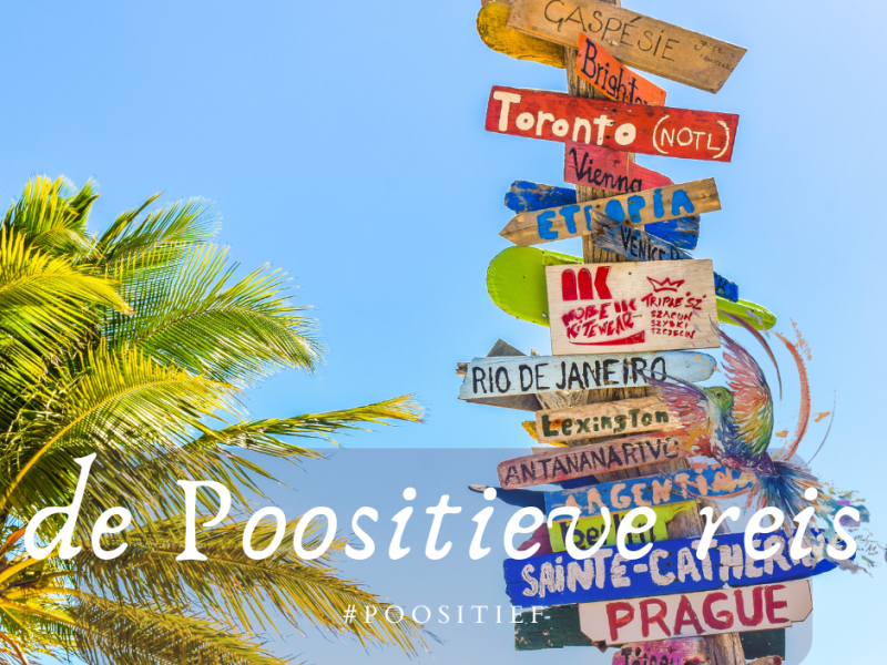 de Poositieve reis