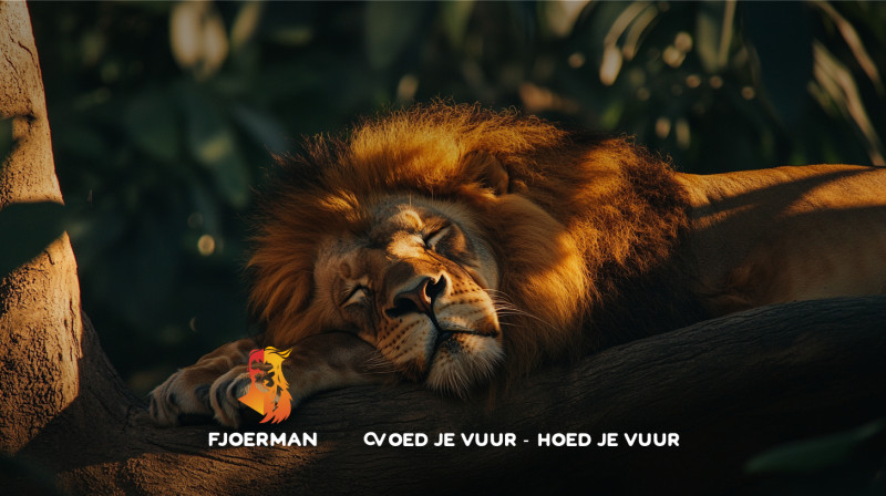 Fjoerman Open Cirkel Juni