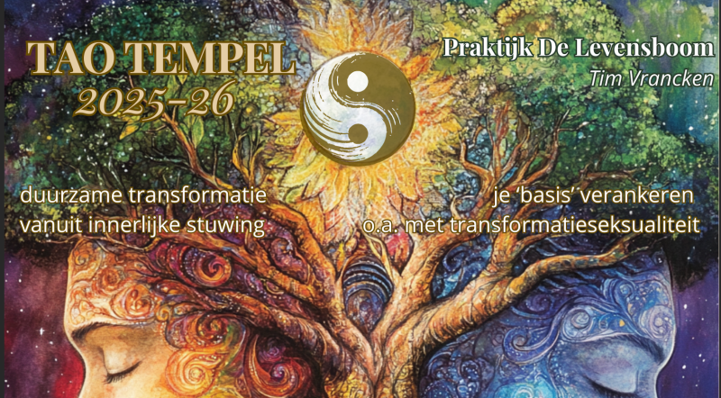 Tao Tempel: Introductiedag