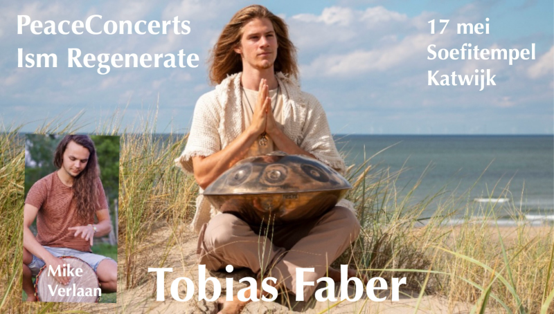 Handpan Concert Tobias Faber geannuleerd wegens ziekte