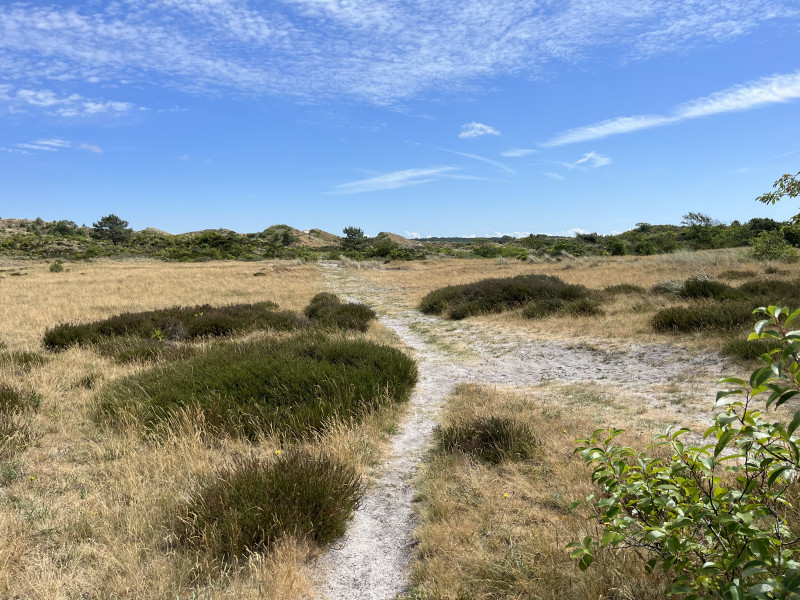 Mind-Walk in Schoorl - Nature, Mindfulness, Yoga