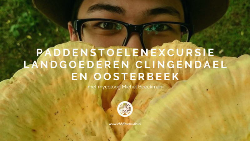 Paddenstoelenexcursie Landgoederen Clingendael en Oosterbeek - Natuur, Storytelling, Overige Workshops