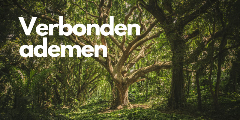 Play Utrecht: Verbonden ademen - Verbinding, Ademwerk