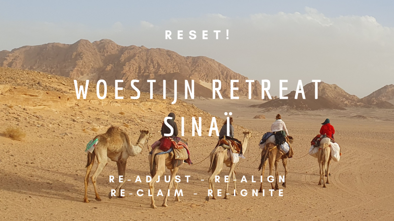 Woestijn Retreat Sinaï - RESET!