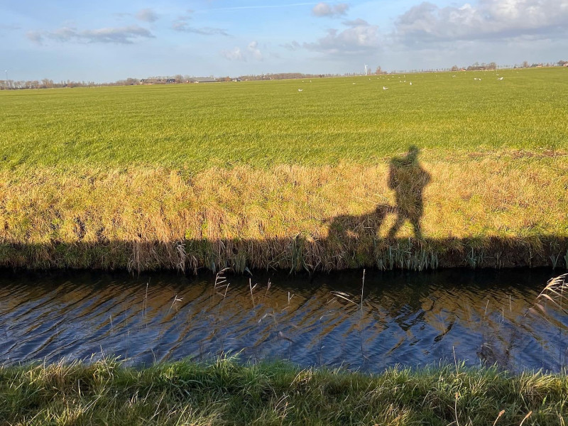 Stiltewandeling Bedum