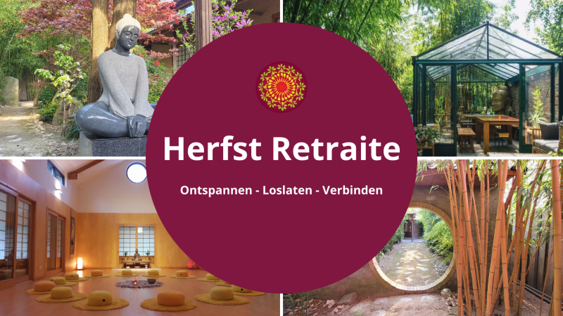 Herfstretraite met Qi Gong, Meditatie en meer - Meditación, Qi Gong, Retiro de 1 día