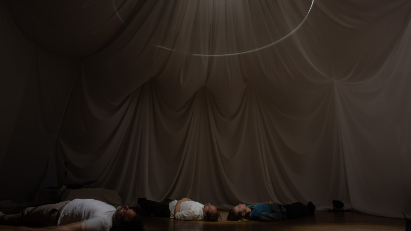 Pendulum Try-outs: hypnoseritueel door Project Wildeman