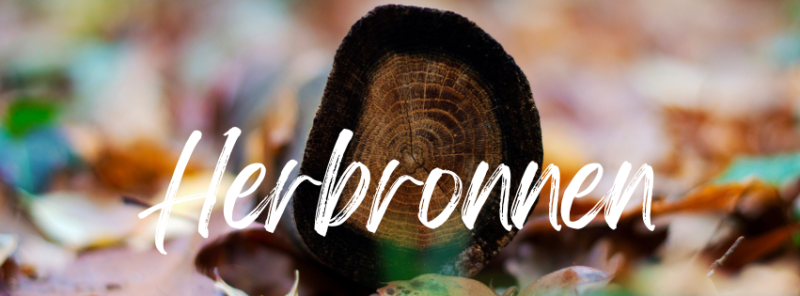 Herbronnen in de energie van paarden en het bos (Lente) - Innerlijke Reis, Ritueel, Vuur Ceremonie