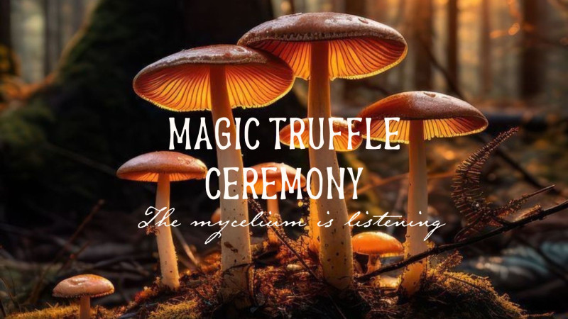 Magic Truffle Ceremony - Plantmedicijn, Ademcirkel, Truffel Ceremonie