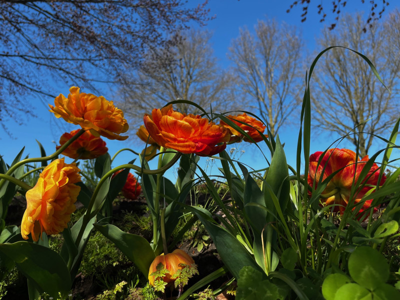 Ademcirkel (conscious connected breathwork) in Hilversum