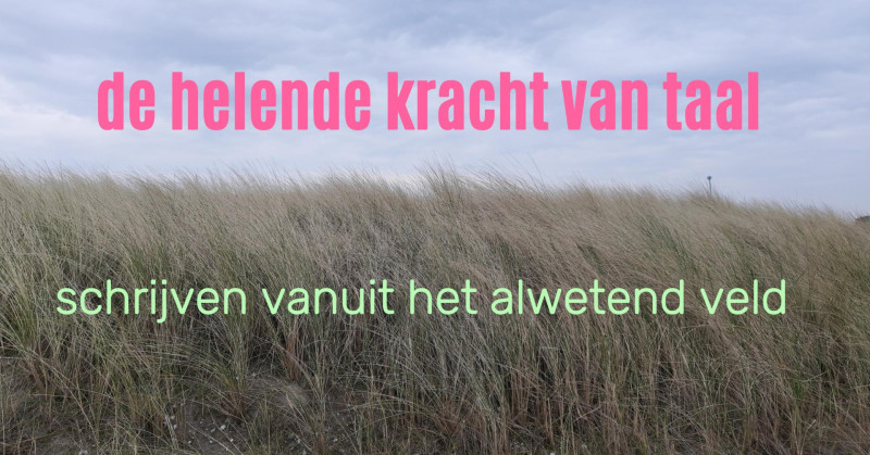 De helende kracht van taal, schrijven vanuit het alwetend veld