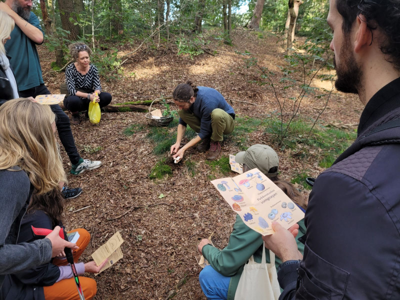 Mushroom Foraging Walk + Tasting Hipsy