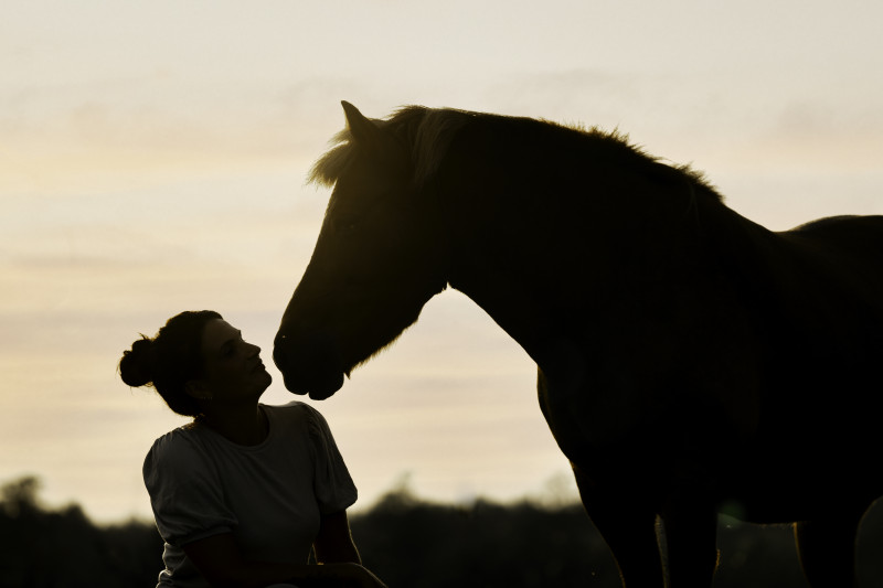 Deep Dive met Paardencoaching