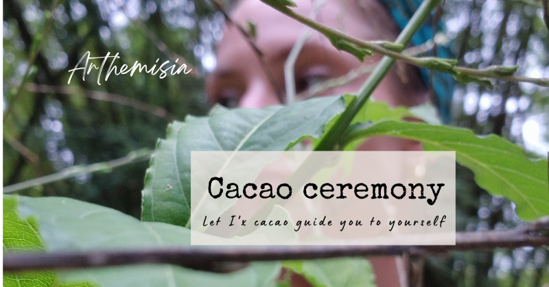 Cacao ceremony inspired by ancestral traditions