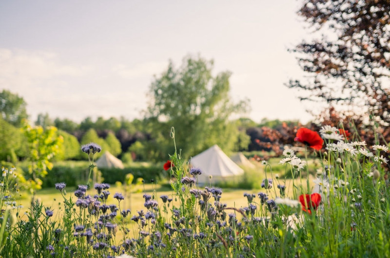 🌿 Reconnect & Recharge: Weekend Yoga Retreat at Yugen Forest 🌿 - Yoga, Retiros de varios días, Mini retiro en la naturaleza