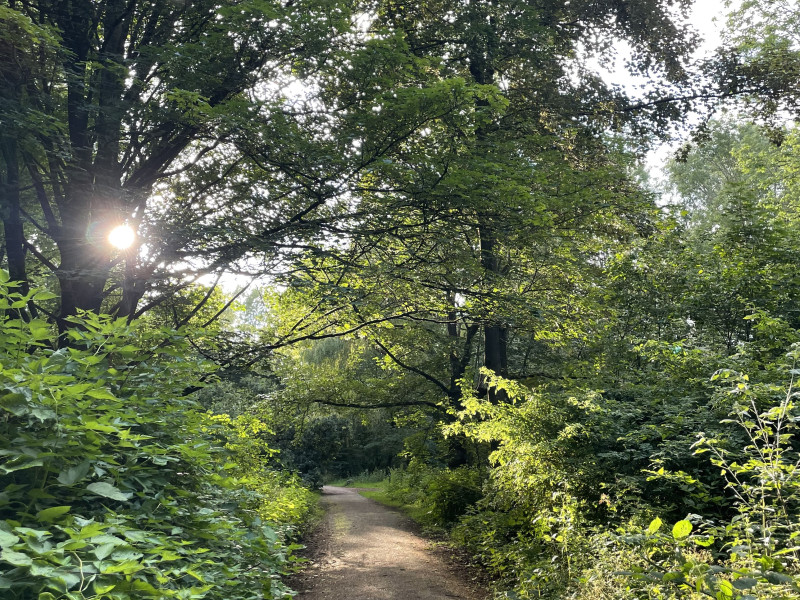 Stiltewandeling (Dag van de Stilte)  - Wandelen, Natuur, Mindfulness