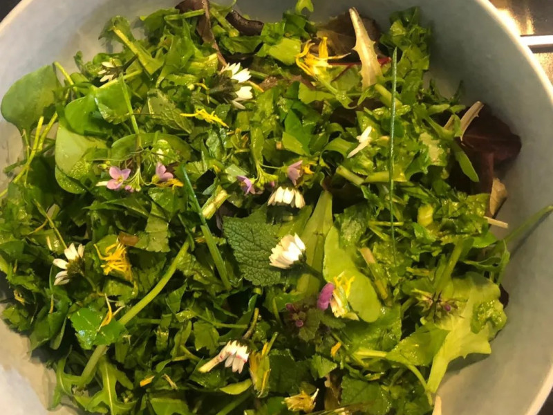 Wildplukken met Natuurlijk Elles