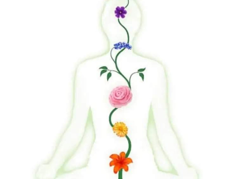 Kundalini les