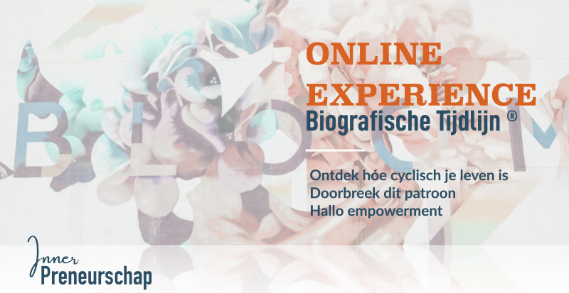 Online Experience Biografische tijdlijn