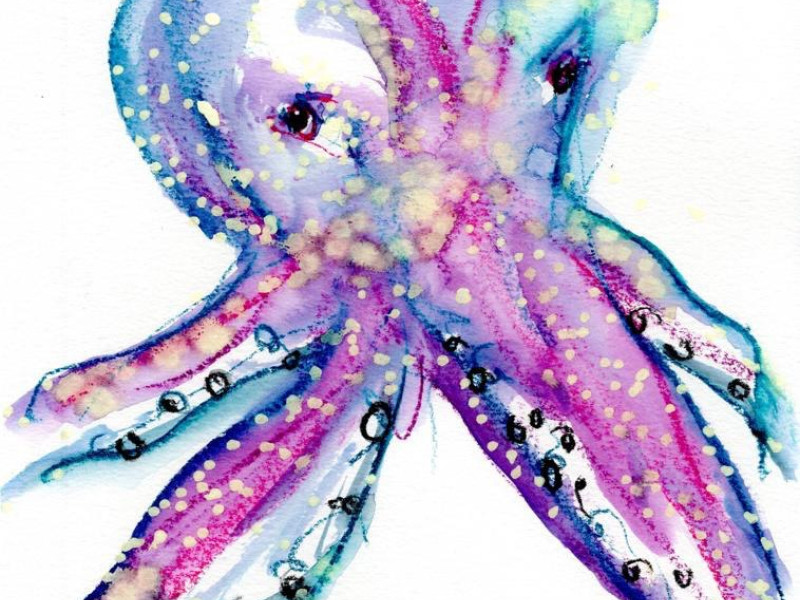 Octopus Sessions - live muziek performance