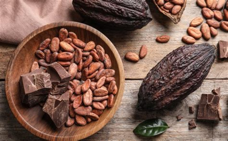 Cacao Initiatie/Inwijding - Cérémonie de cacao, Médecine des plantes, Développement de la conscience