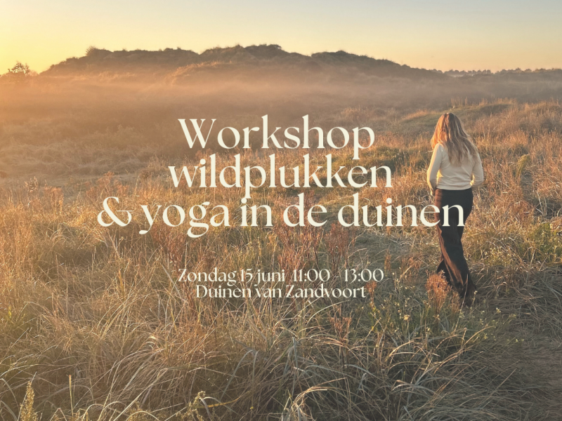 Workshop wildplukken & yoga in de duinen van Zandvoort
