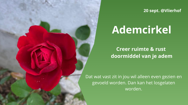 Ademcirkel & Cacaoceremonie