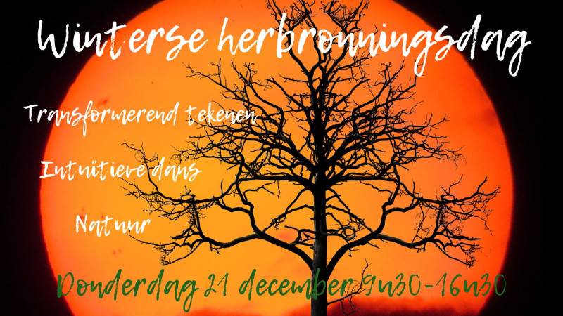 Winterzonnewende Herbronningsdag - Creativity, Nature, Intuitive Dance