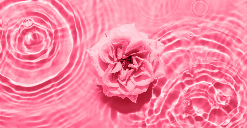 Rite of the Womb - vrouwencirkel & wombhealing