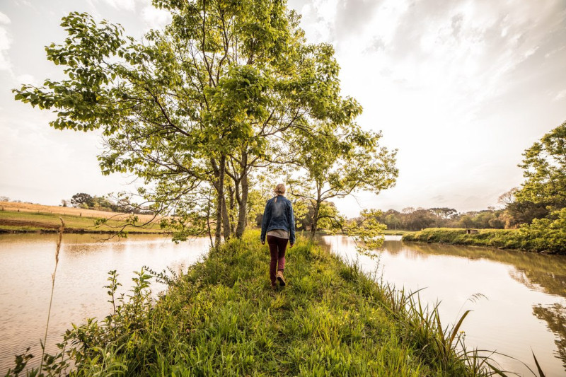 Mindful met de Natuur Challenge - Op eigen houtje (natuur, mindulness)