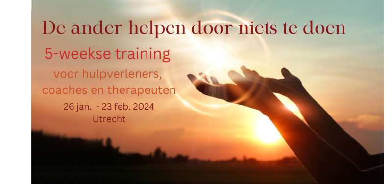 De ander helpen door niets te doen - Training voor hulpverleners - Therapy, Mindfulness, Course