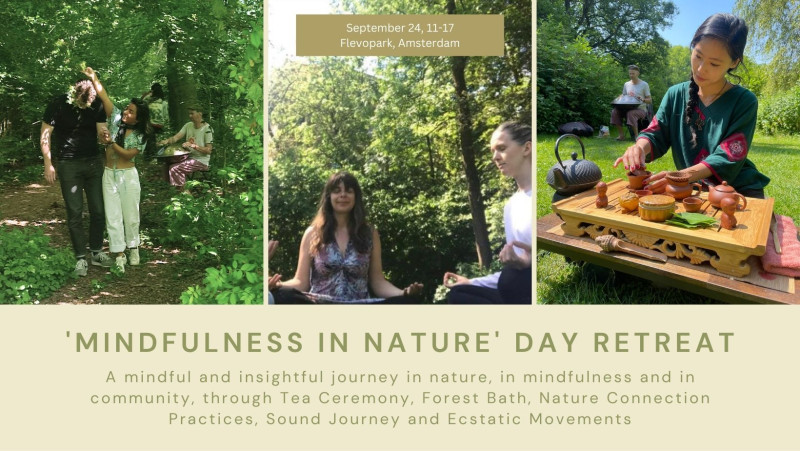 Mindfulness in Nature Day Retreat: Tea Ceremony, Meditation,Walk,Dance - Ritueel, Ecstatic Dance, Natuur